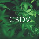 CBDV