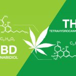 thc cbd chemisch