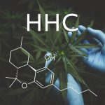 HHC cannabinoïde