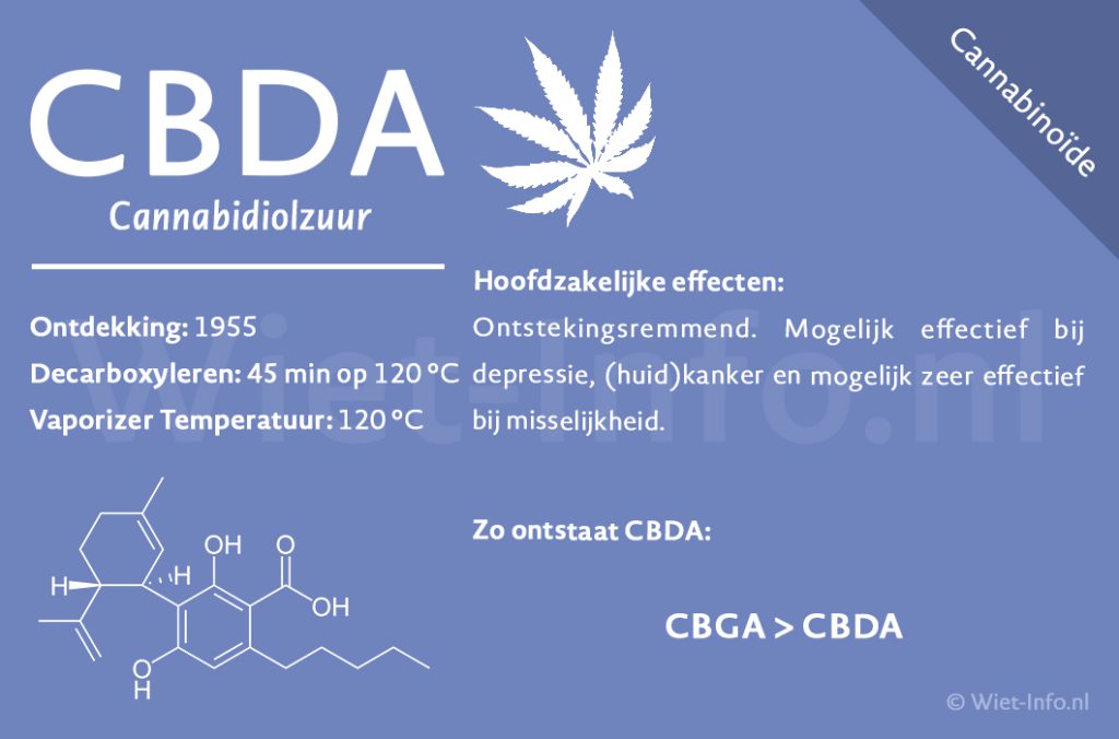 CBDA factsheet