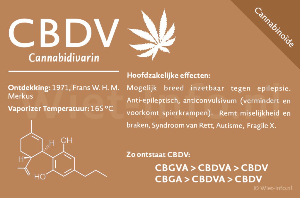 CBDV Factsheet