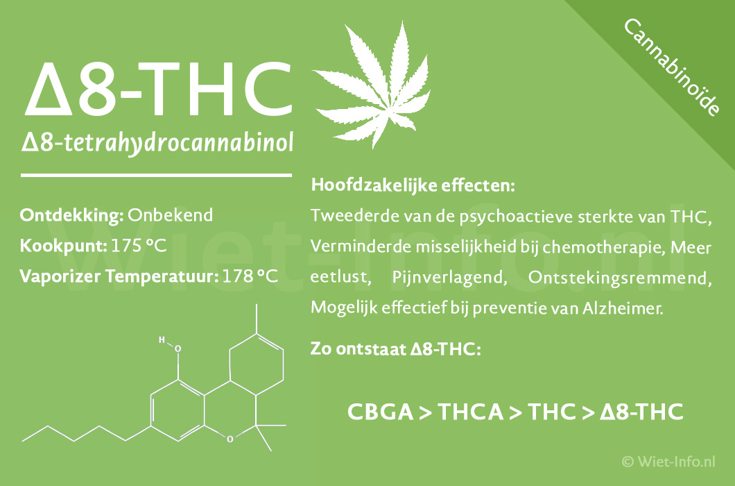 THC Light Wat doet Delta8THC met je? WietInfo.nl