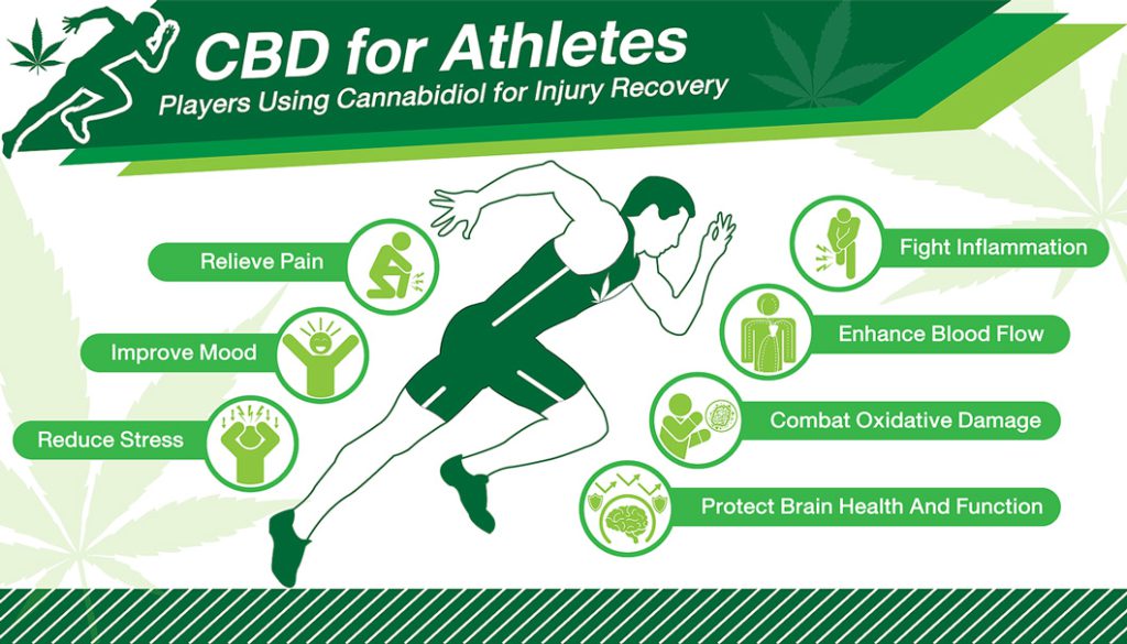 CBD Sport infographic