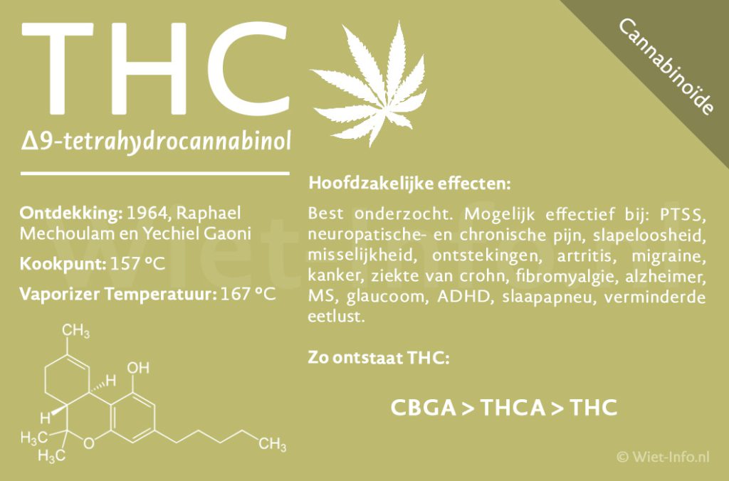 Factsheet THC